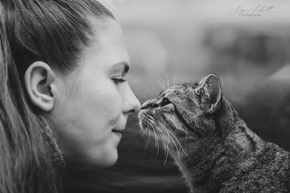 Frau und Katze Nase an Nase, Schwarzweiß