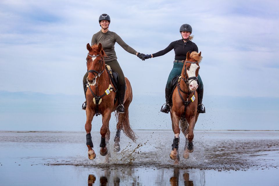 Zwei Reiterinnen reiten Hand in Hand durchs Wasser